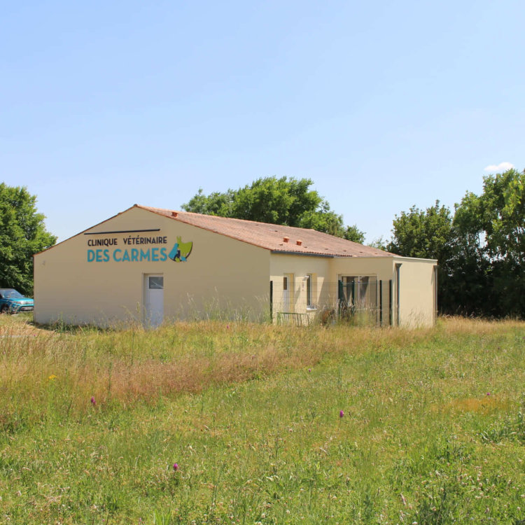 Clinique vétérinaire des Carmes – Aulnay de Saintonge